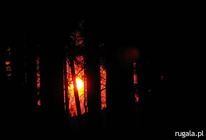 Słońce zachodzi za drzewami, Beskid Śląski