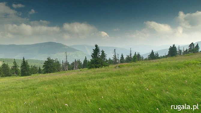 Okolice Przełęczy Dołek (1278 m) - widok na południe