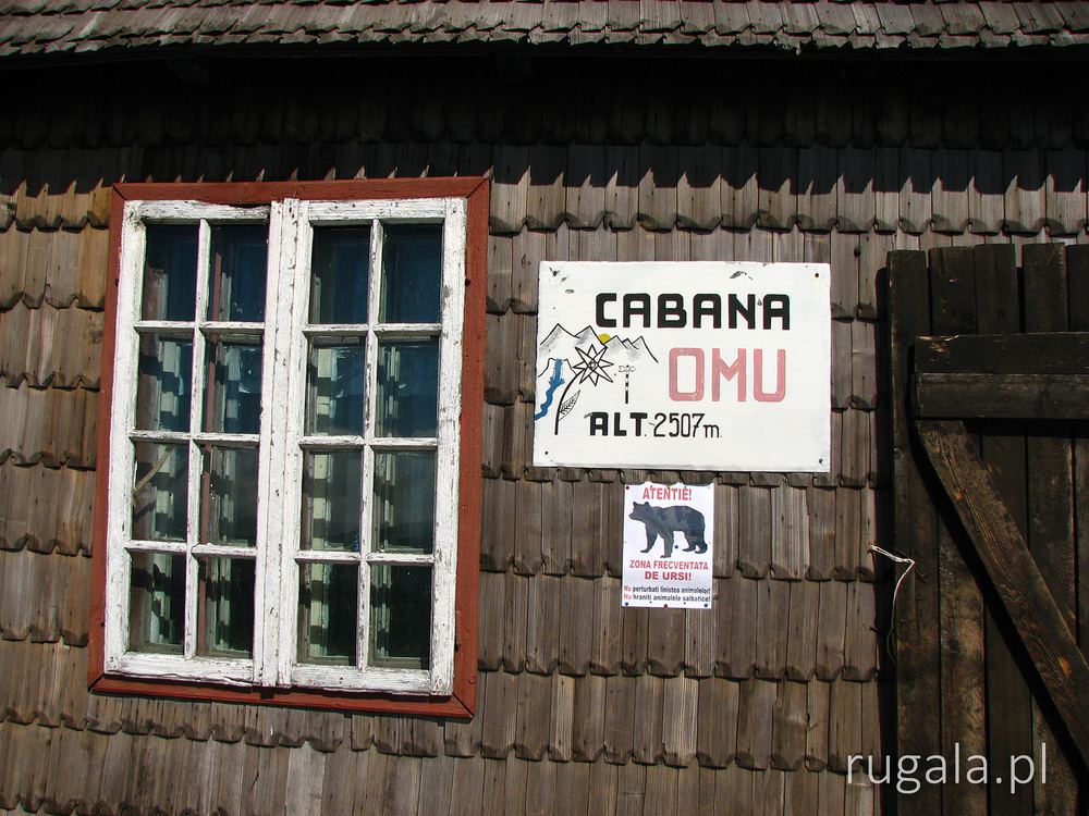 Cabana Omu (2507 m), Bucegi