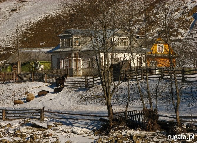 Huculskie chaty, Czarnohora