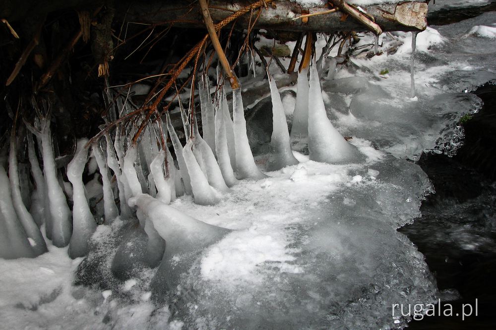 Zima w Gorganach