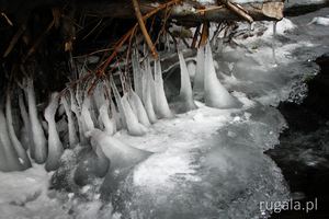 Zima w Gorganach