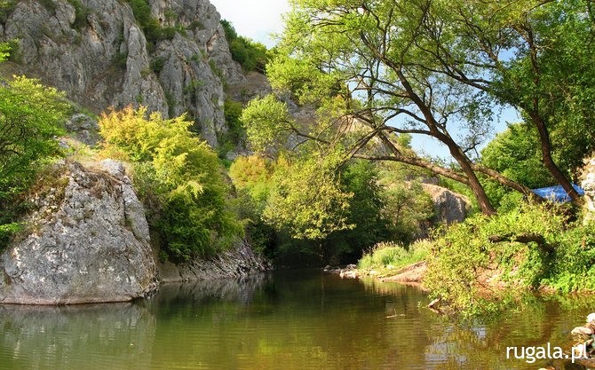 Rzeka Temštica, okolice wsi Temska