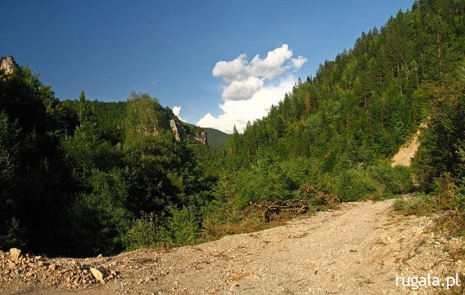 Droga w kierunku przełęczy Čakor, okolice Kuqishte