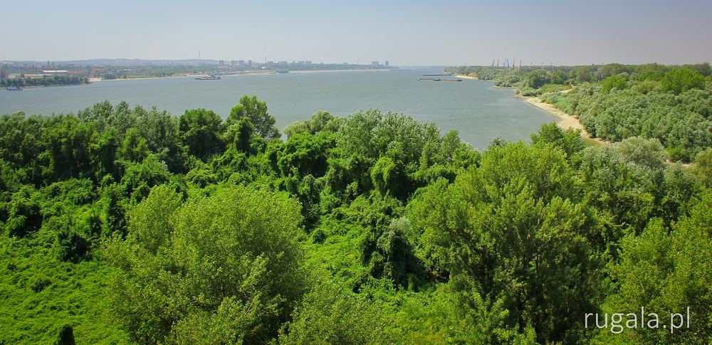Dunaj z mostu Mostu Przyjaźn (Mostu Giurgiu - Ruse)