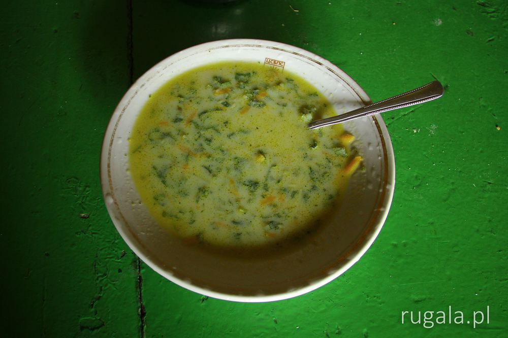 Kopriwena krem supa (копривена крем супа), Iwan Wazow