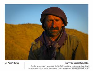 Kurdyjski pasterz Salahadin