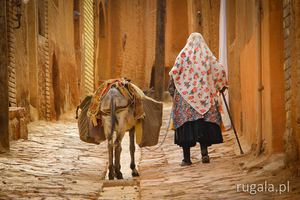 Babcia z osiołkiem, Abyaneh, Iran