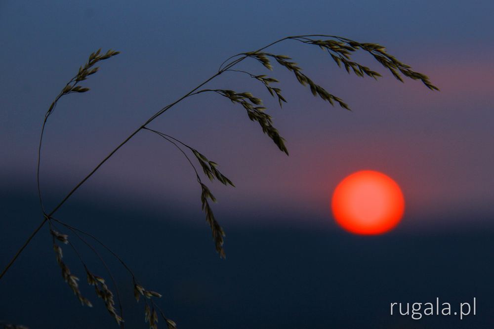 Zachód słońca w Marmaroszach