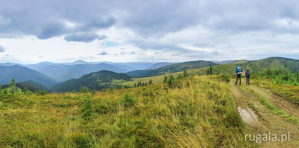 Na górze Kamenec (Каменець), Hryniawy