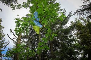 Ukraińska flaga na Magurze, Beskidy Skolskie