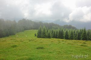 Şeroni, Góry Țarcu