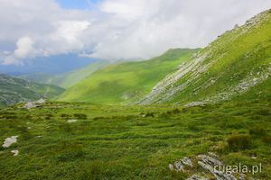 Munții Țarcu