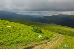 Lato w Górach Țarcu