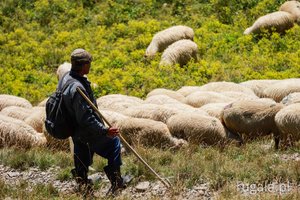 Pasterz w Górach Baiului