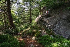 Czerwonym szlakiem z Przełęczy Neteda na Gutâiul Mic