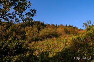 Tatrzańska jesień w Suchym Żlebie Kalackim