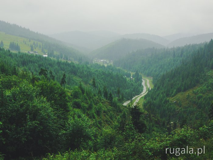 Rainy Gilău Mountains