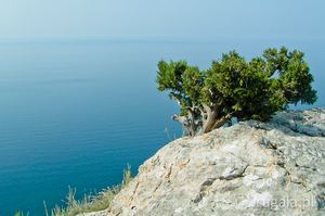 Morze Czarne, Krym
