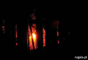 Słońce zachodzi za drzewami, Beskid Śląski