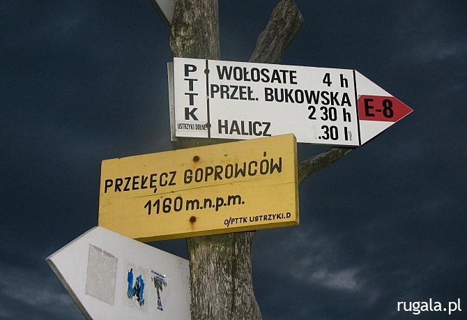 Przełęcz Goprowska (Przełęcz Goprowców) - 1160 m