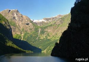 Nærøyfjord - najwęższy fiord Norwegii