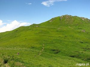 Przełęcz Goprowców (1160 m)