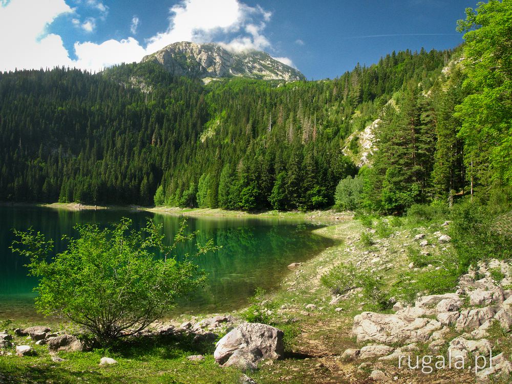 Crno jezero - Durmitor