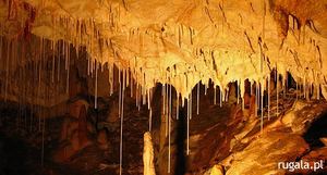 Jaskinia Gombasecka (sł. Gombasecká jaskyňa)