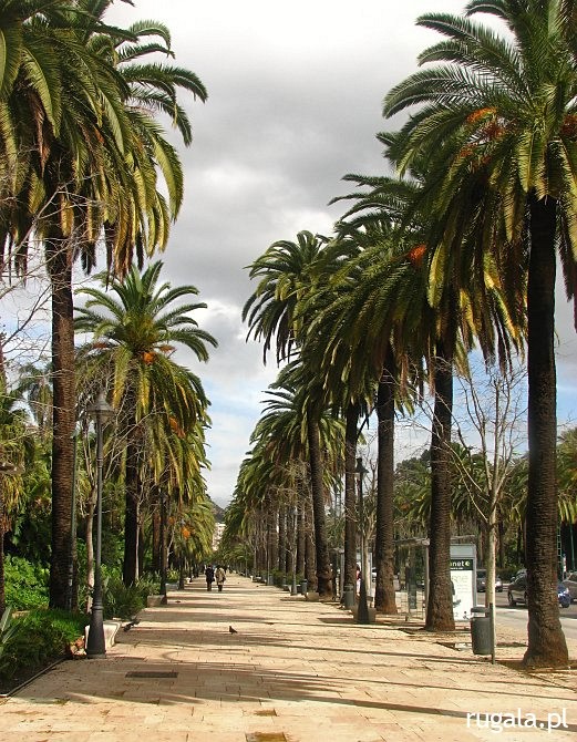 Paseo del Parque, Málaga