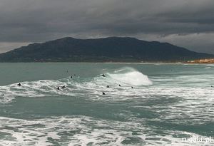 Surferzy w okolicy Punta de Tarifa