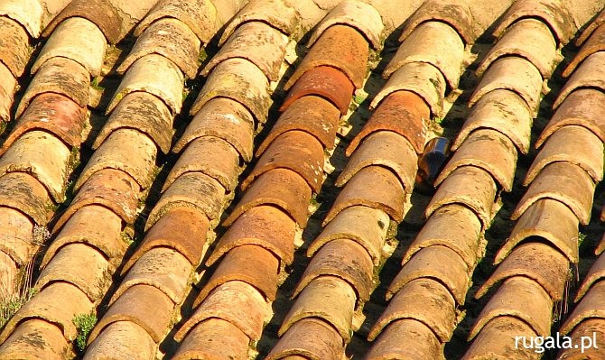Dach w renesansowej Baezie, Andaluzja