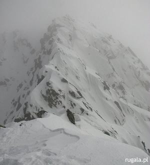 Wierzchołek Świnicy (2301 m) z wierzchołka taternickiego (2291 m)