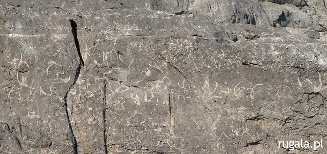 Tajemniczy alfabet starożytnej cywilizacji?