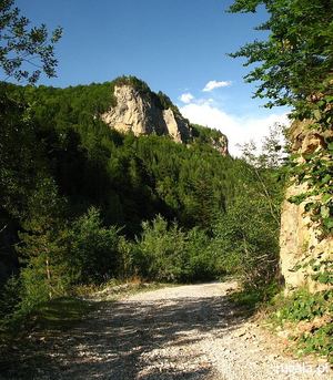 Droga w kierunku Czarnogóry, okolice Kuqishte