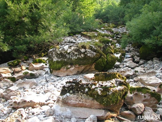 Wyschnięte koryto rzeki Skavkač