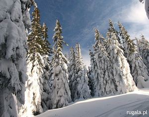 Zimowa sceneria nieopodal Hali Górowej