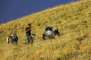 Podejście z Kurdyjskim pasterzem do obozowiska
