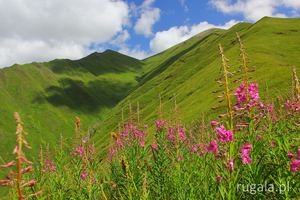 Kolorowy krajobraz Kaukazu
