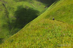 Wędrówka przez zielone góry Kaukazu