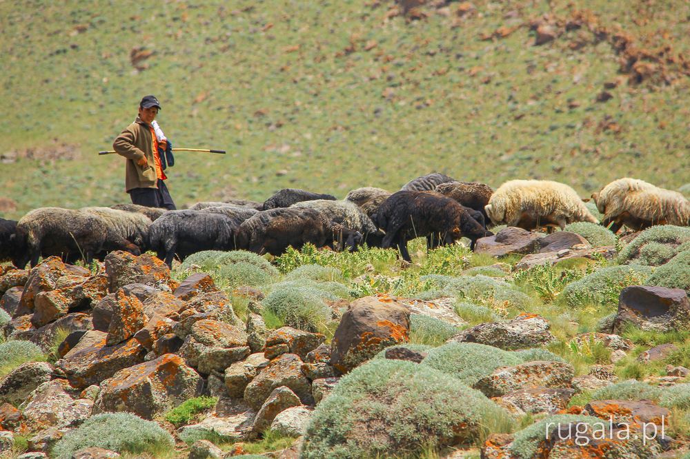 Irański pasterz, masyw Demawendu