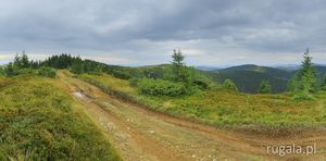 Baba-Ludowa - widok spod szczytu, Hryniawy