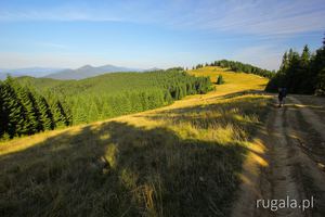 Pomiędzy wierzchołkami Kuniklywa i Lisniw, Góry Pokuckie