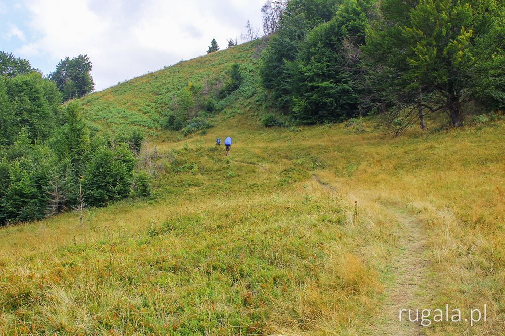 Ostre podejście na Riapeckę z Przełęczy Wołowieckiej, Borżawa