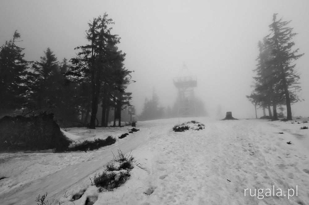 Szczyt Baraniej Góry we mgle, Beskid Śląski