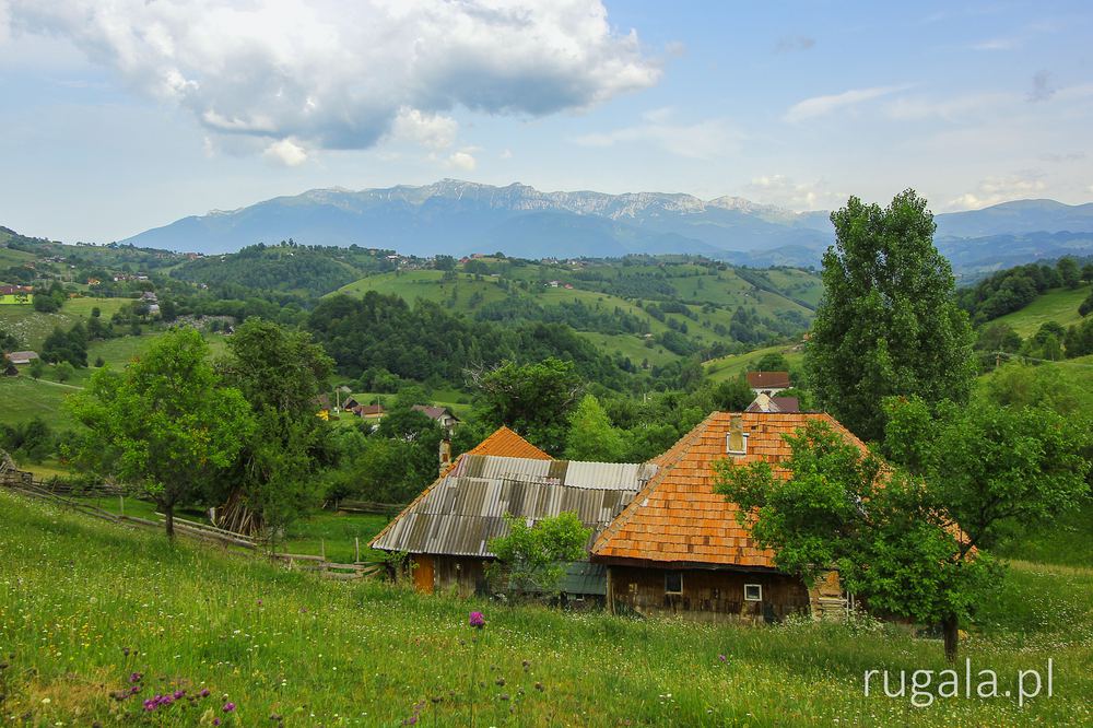 Wioski w Piatra Craiului - widok na Bucegi