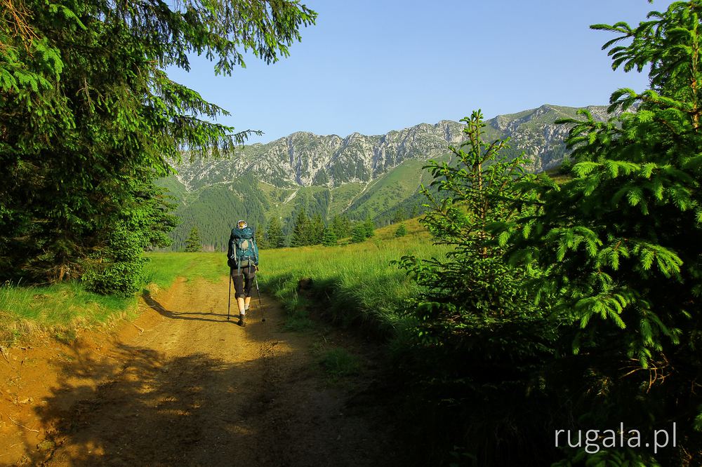 Dojście do przełęczy Șaua Joaca (1445 m)