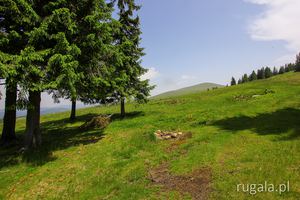 Z drogi na przełęcz Curmătura Șureanu