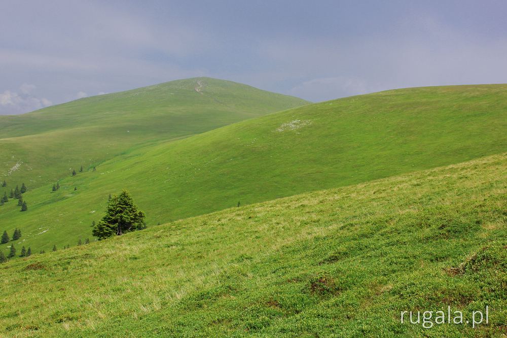Vârful lui Pătru, Góry Șureanu