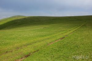Zielone Góry Șureanu